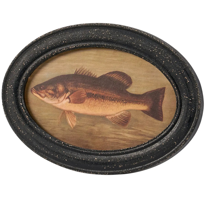 Bass Hanging Decor'