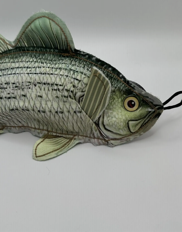 Bass dog toy