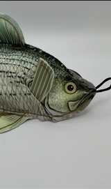 Bass dog toy