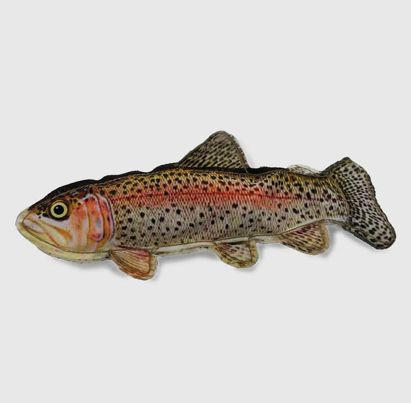 Rainbow Trout dog toy