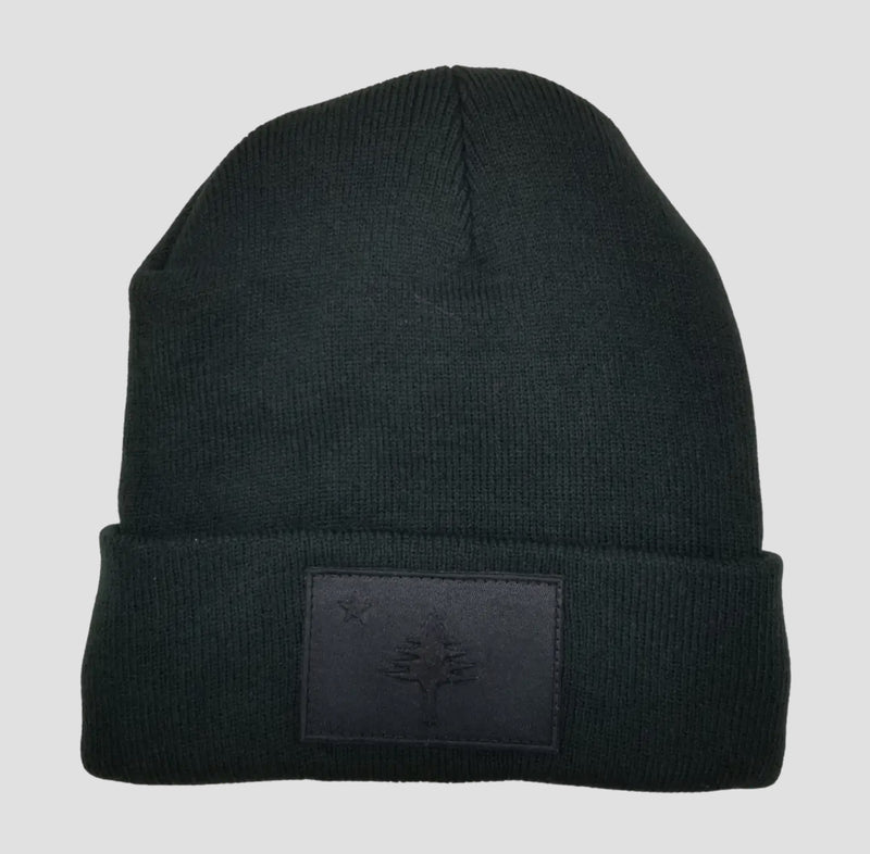 Maine Flag Beanie Hat - Black